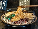 JAPAN - Tokyo Kugelfisch Fugo (Gegrillt)